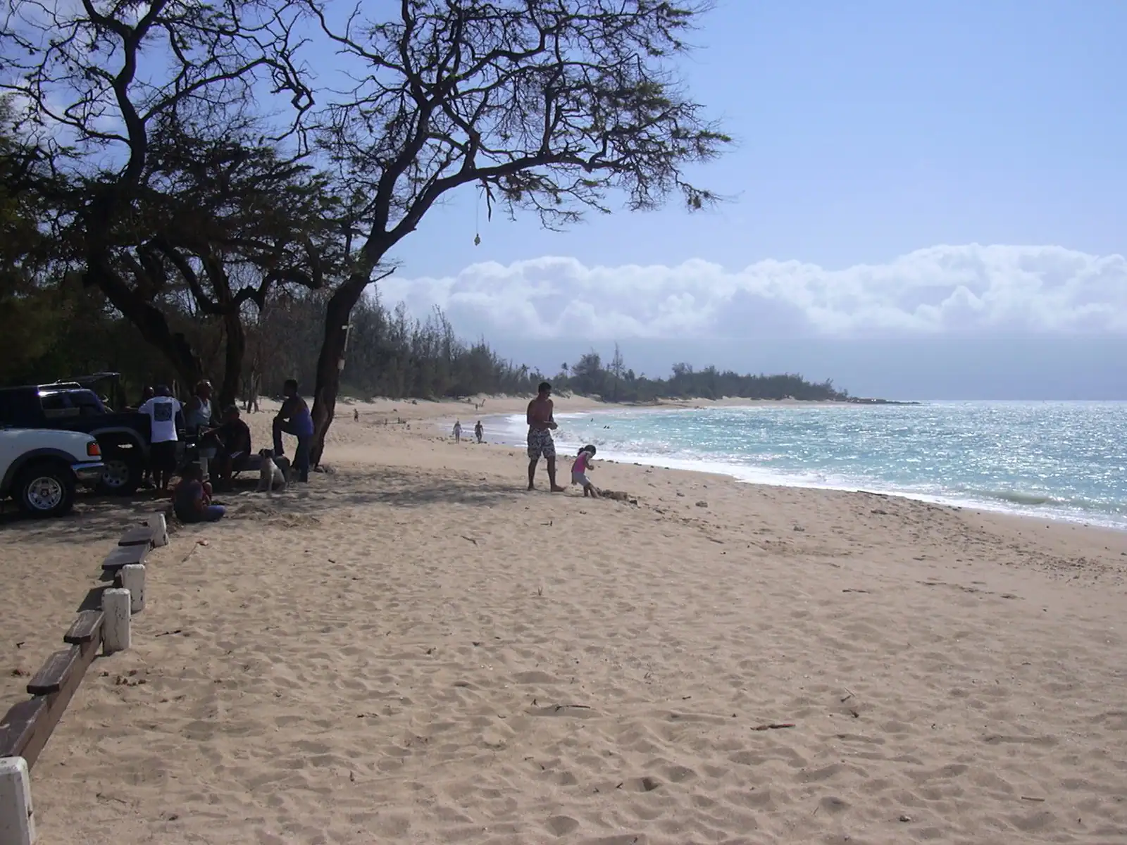 A long sweep of pale sand at Baldwin Beach Park with ironwood shade along the left and surf breaking down the shoreline
