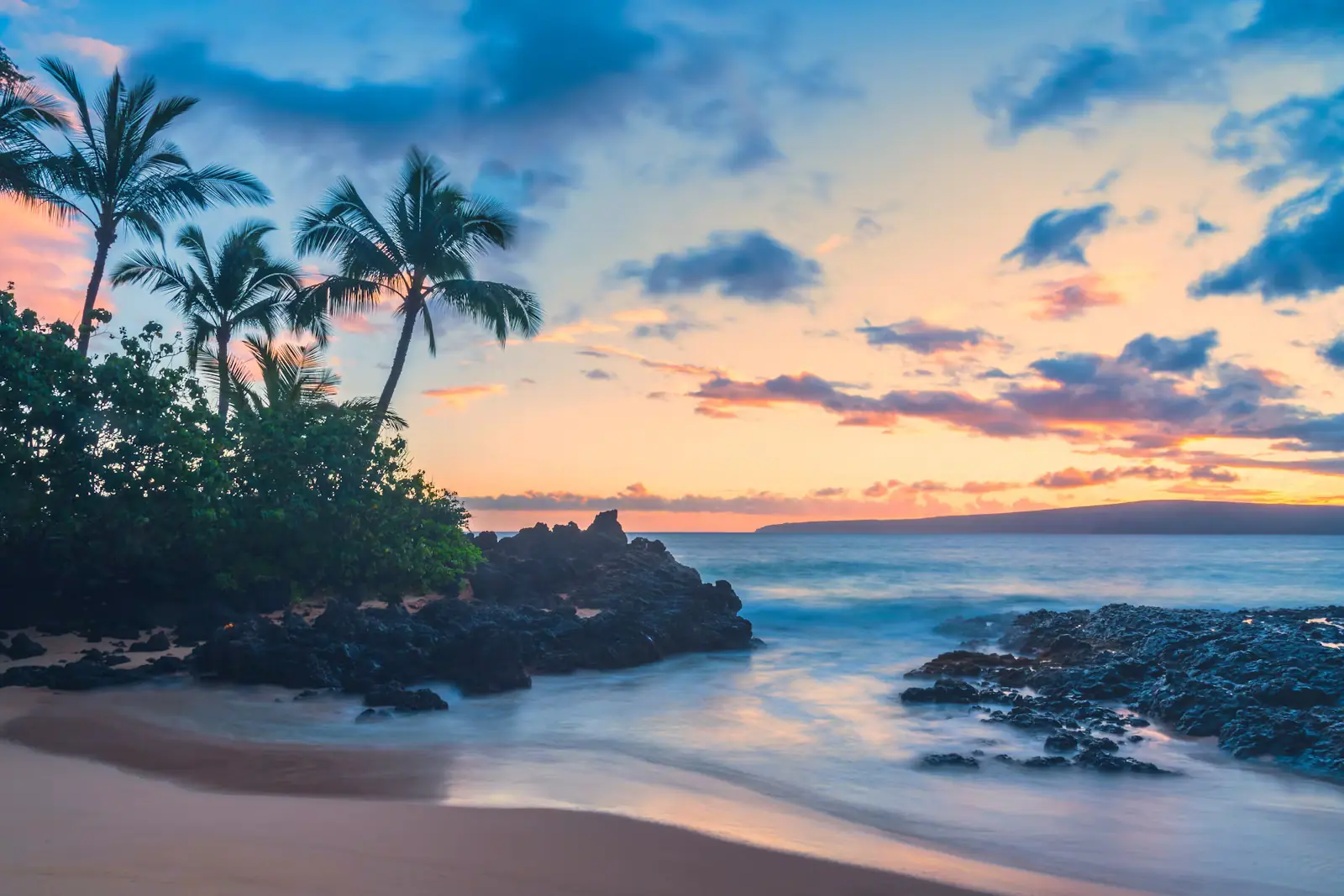 Palms silhouetted against a low sun over a Maui beach