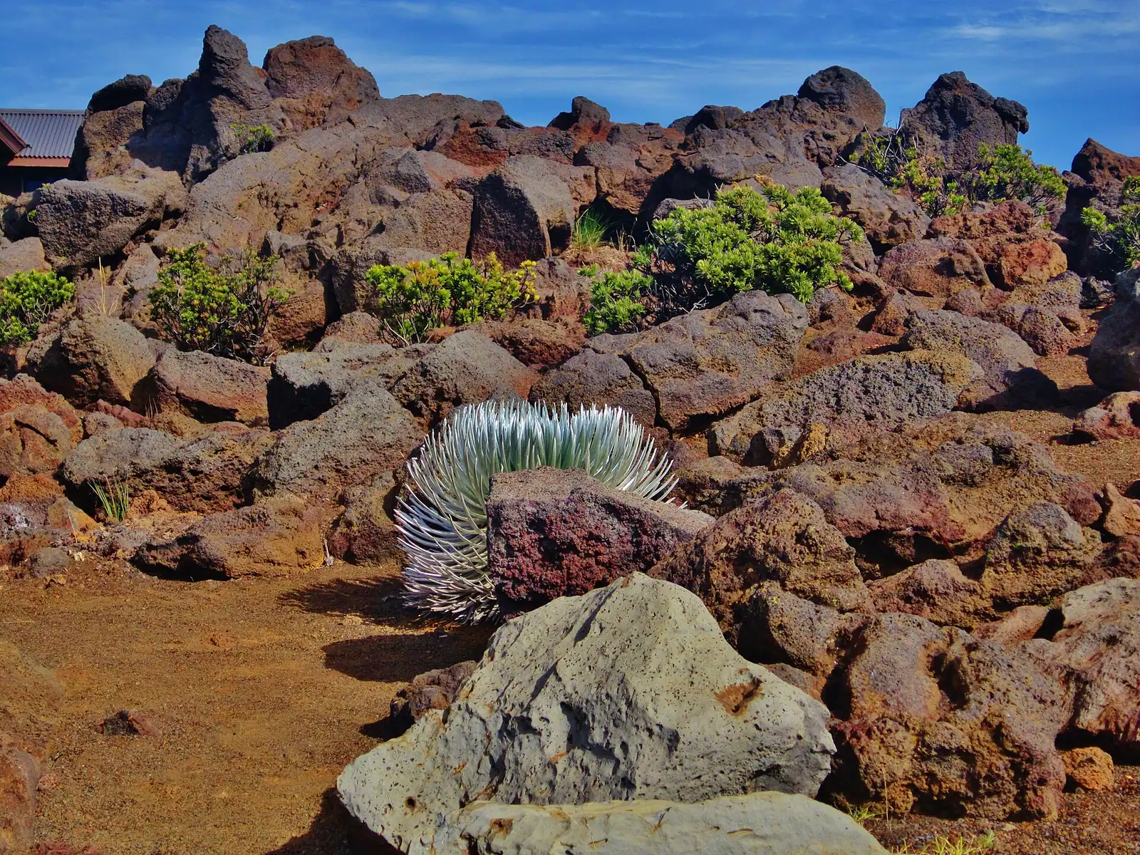 Bare volcanic cinder cones on a high crater floor under early morning light