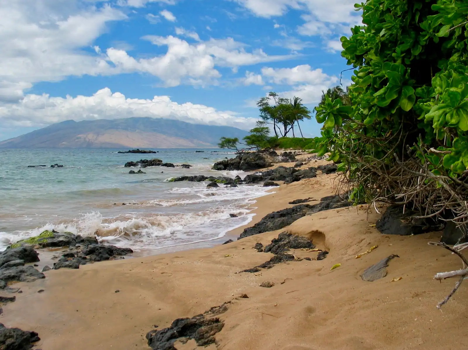A wide golden beach with calm water and palm trees under bright morning sun