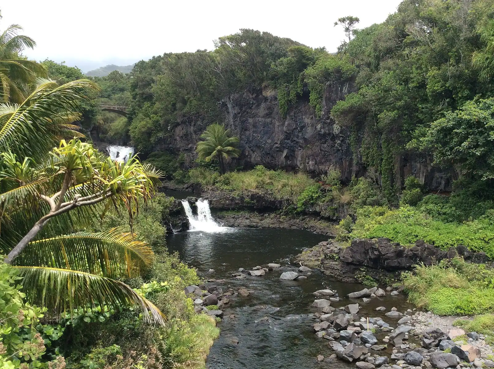 A stream stepping down rock terraces towards the ocean under cloud