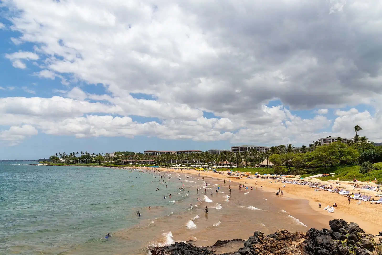 Pale sand and calm turquoise shallows below a landscaped resort lawn with palms