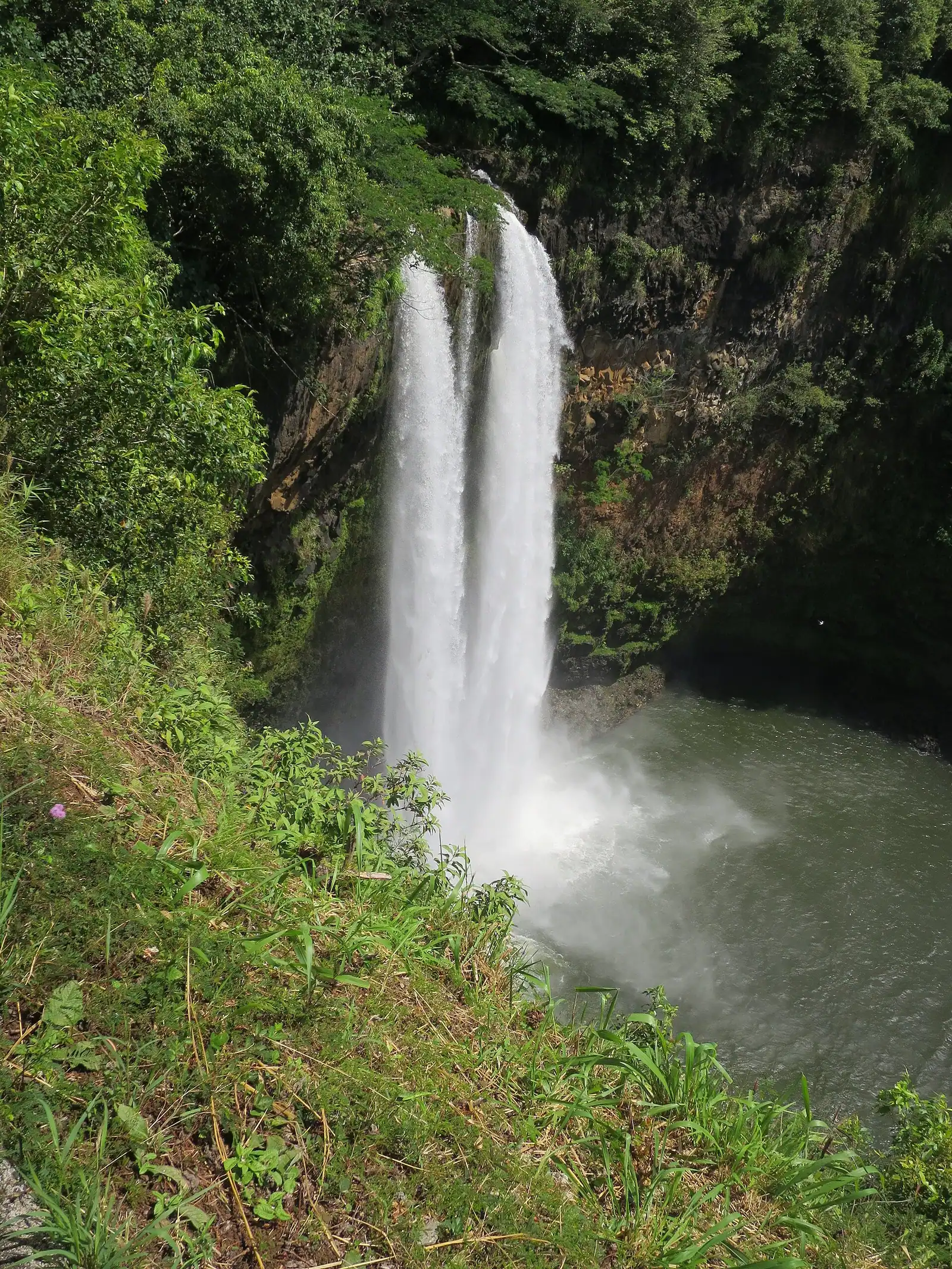 A single waterfall falling into a rock pool in a narrow fern-covered gully